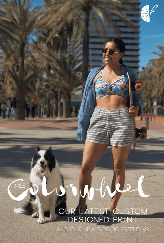 Meet Colorwheel!